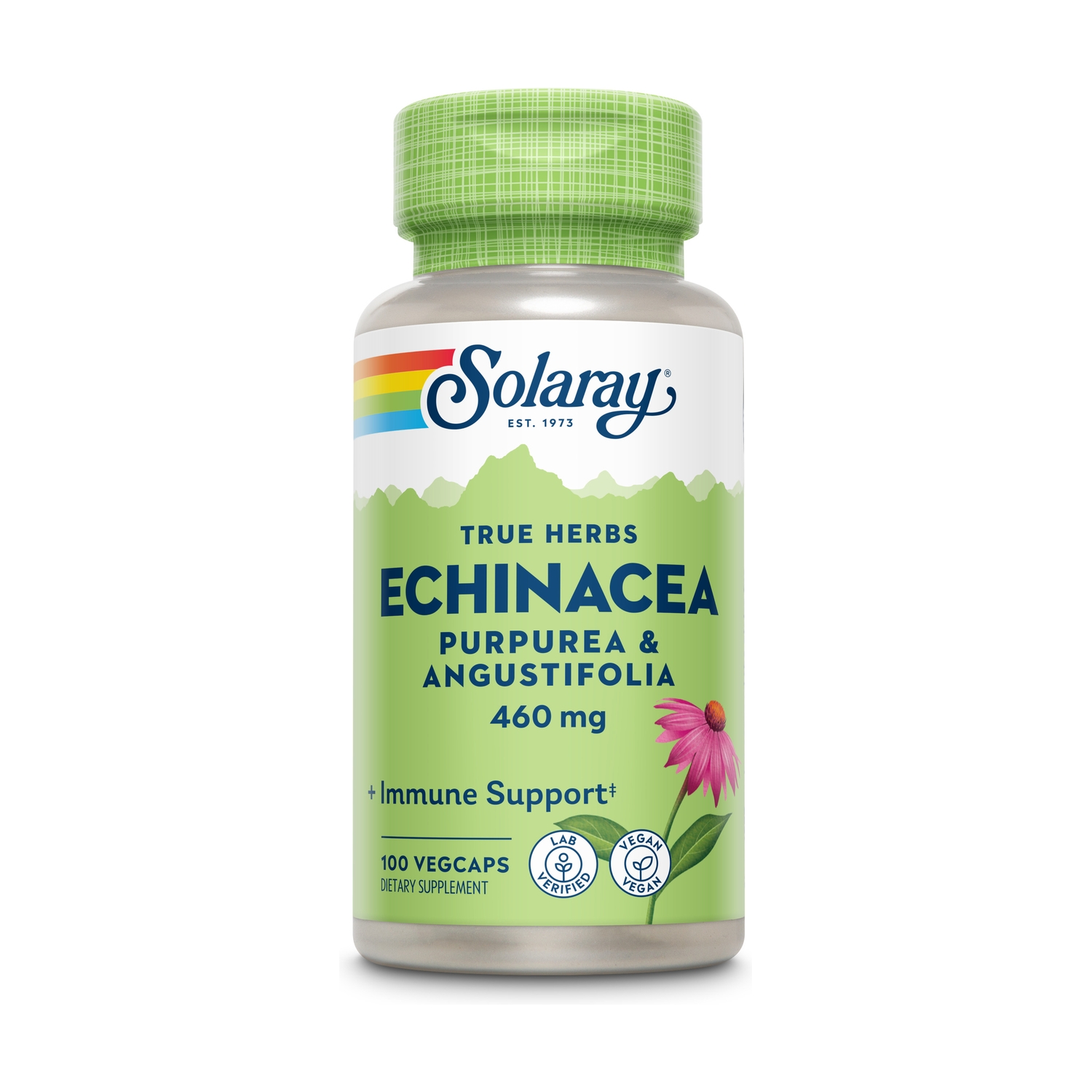 Echinacea Angustipholia