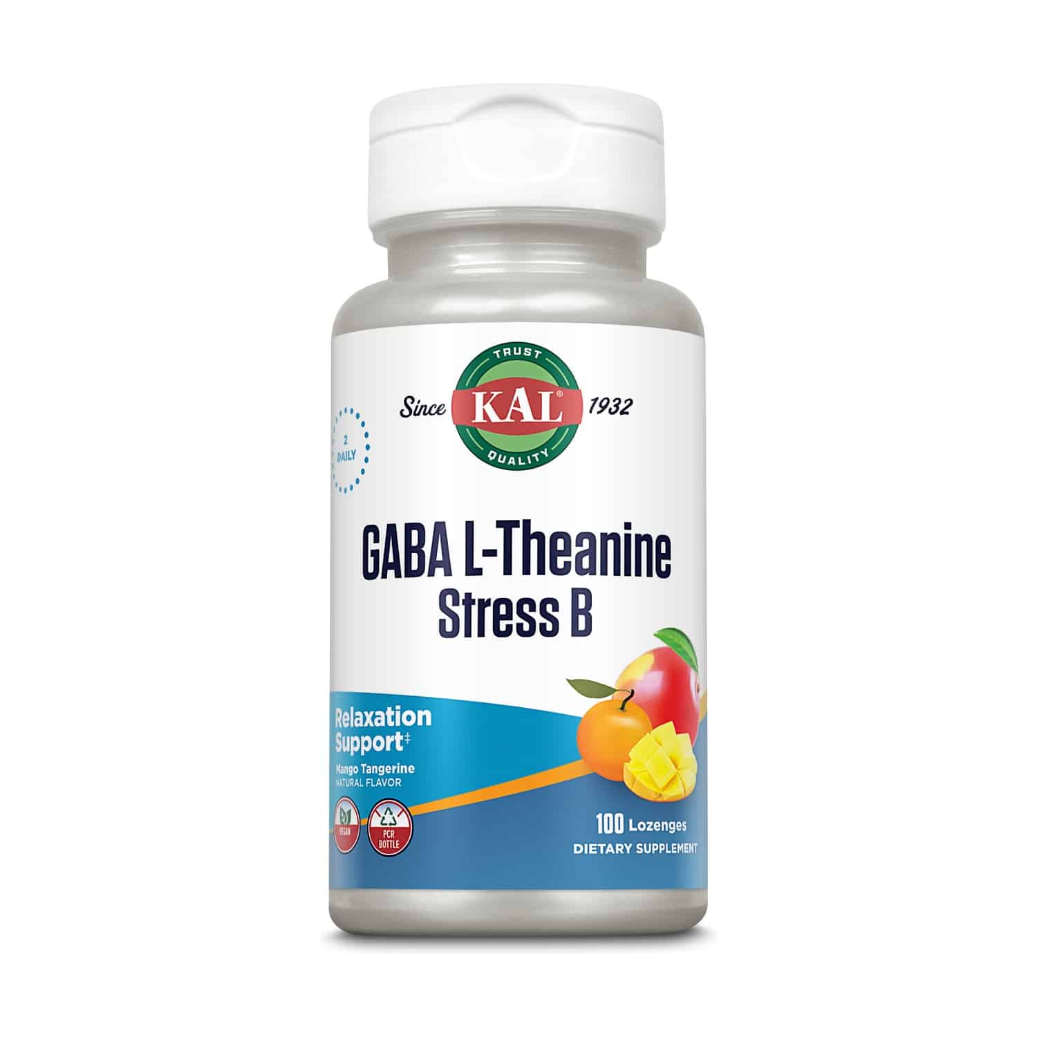 GABA L-Theanine Stress B 100 comp.