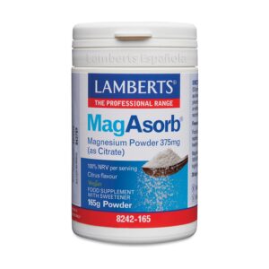 MagAbsorb Polvo 375 mg 165 g de Lamberts